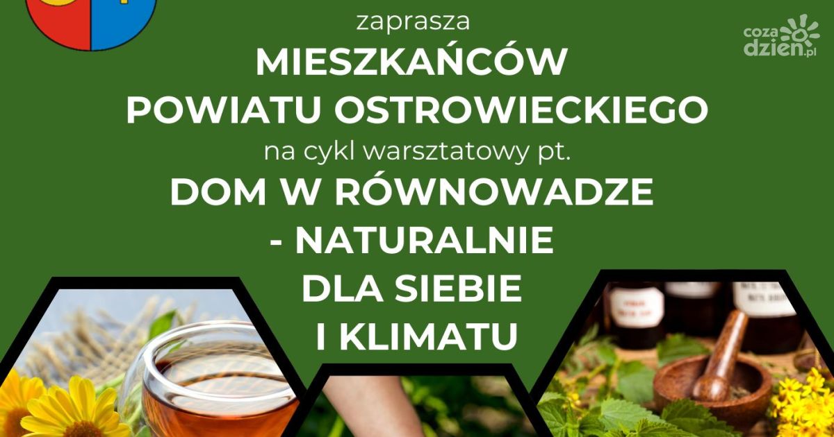 Warsztaty zielarskie w ostrowieckim starostwie