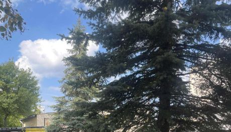 Termomodernizacja szkół wstrzymuje zajęcia – lekcje przeniesione na zewnątrz