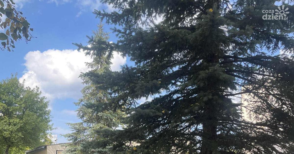 Termomodernizacja szkół wstrzymuje zajęcia – lekcje przeniesione na zewnątrz