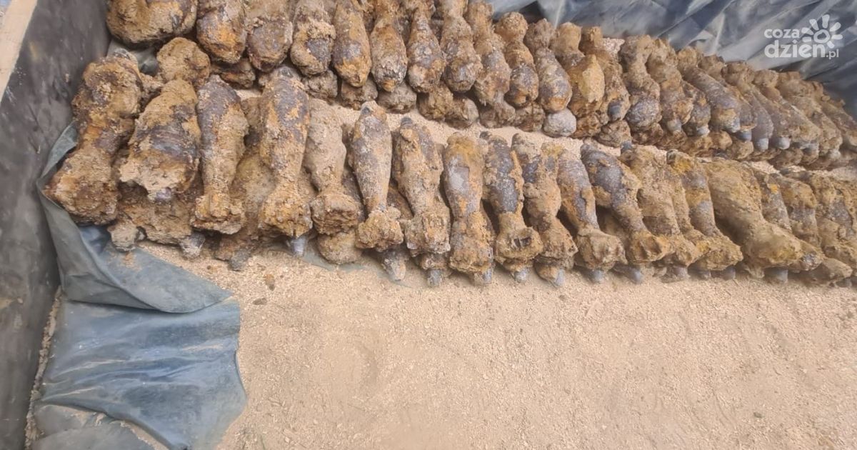 Ponad 160 pocisków z czasów II wojny światowej zabezpieczonych przez służby w Stopnicy