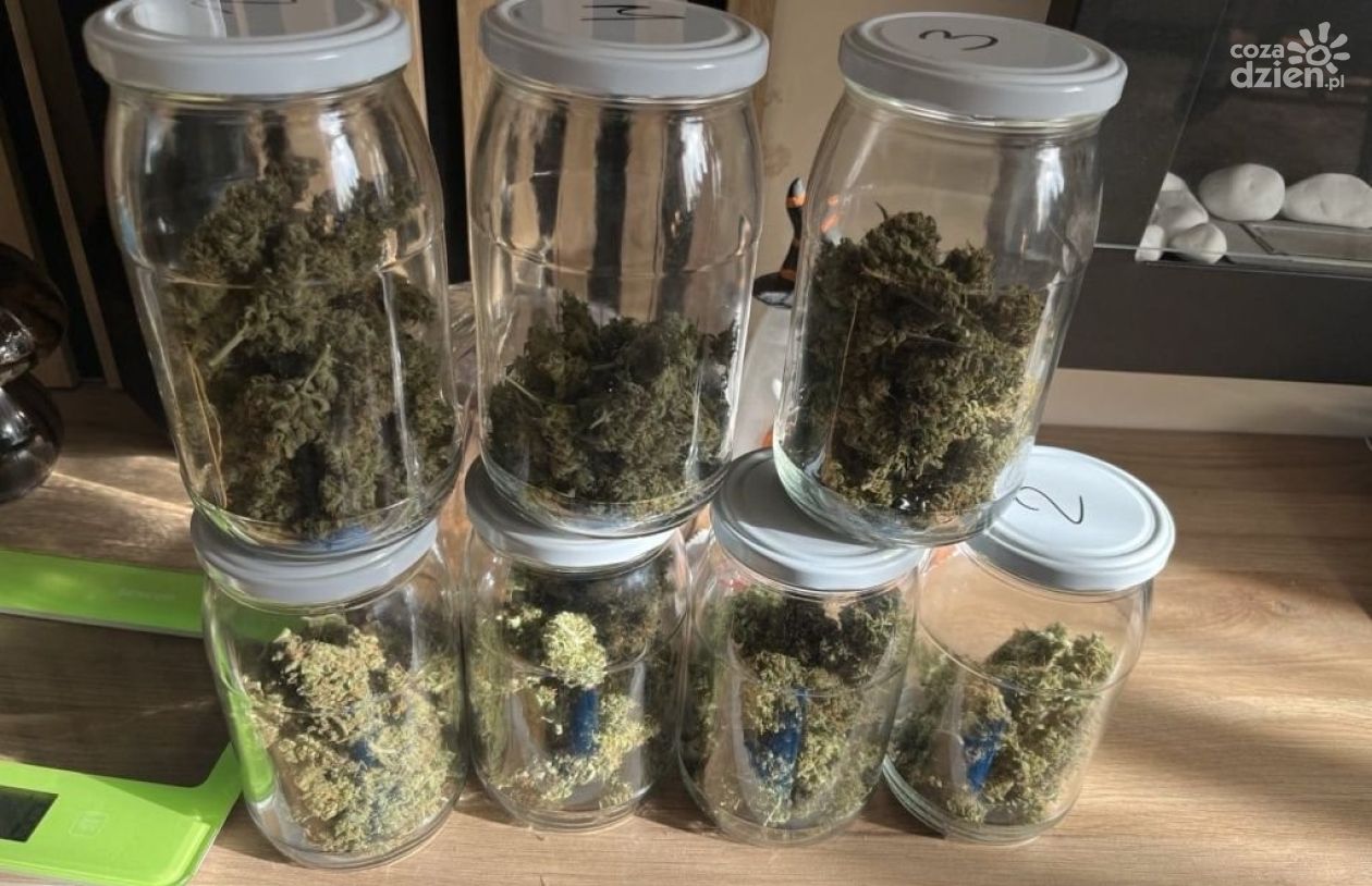 Narkotyki w mieszkaniu 29-latka. Grozi mu do 10 lat więzienia