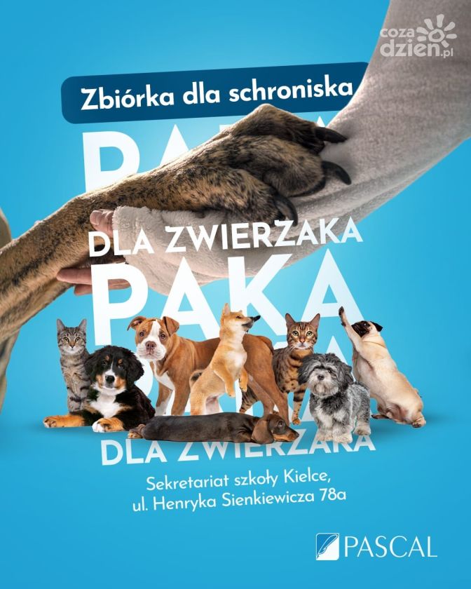 Szkoła Pascal organizuje zbiórkę Paka dla zwierzaka