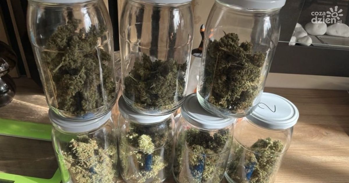 Narkotyki w mieszkaniu 29-latka. Grozi mu do 10 lat więzienia