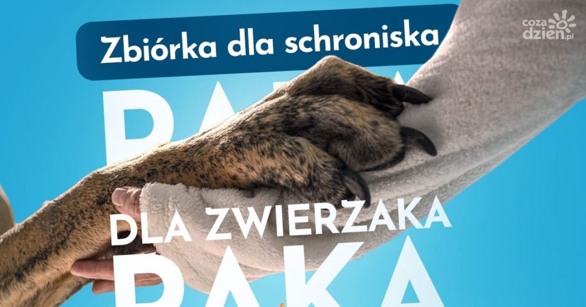 Szkoła Pascal organizuje zbiórkę Paka dla zwierzaka