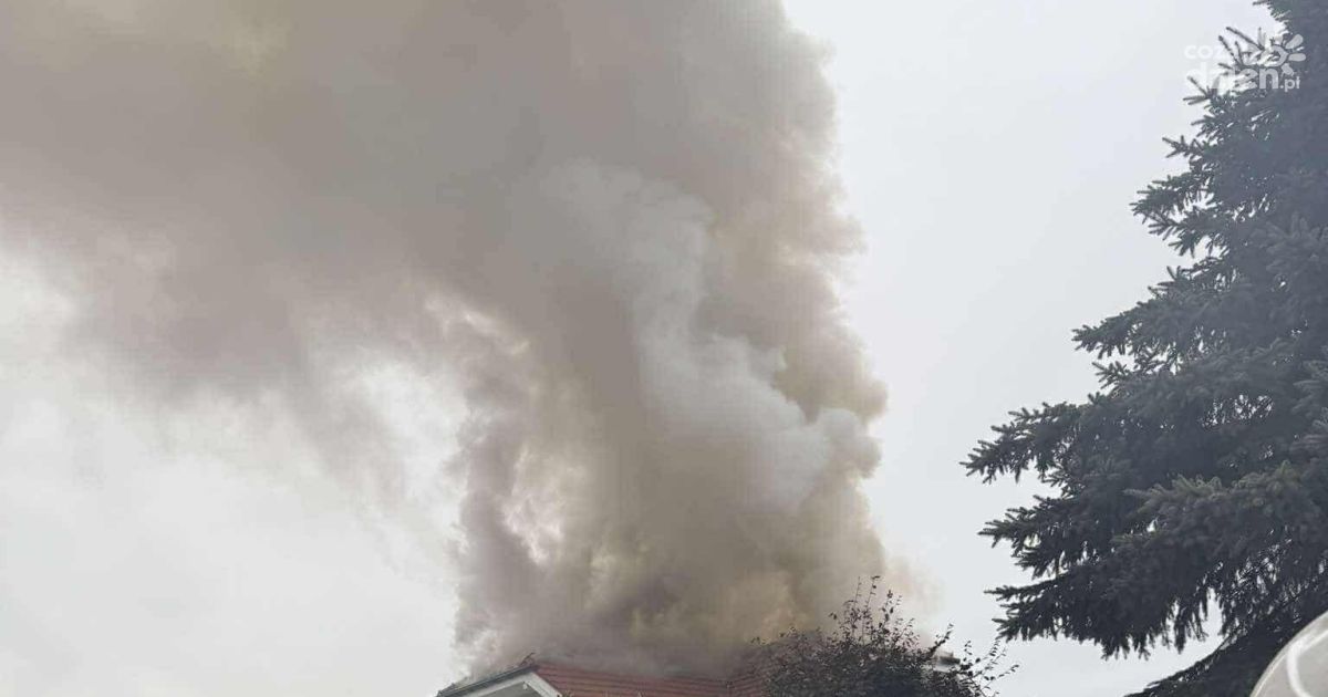 Pożar domu w Bilczy – jedna osoba trafiła do szpitala