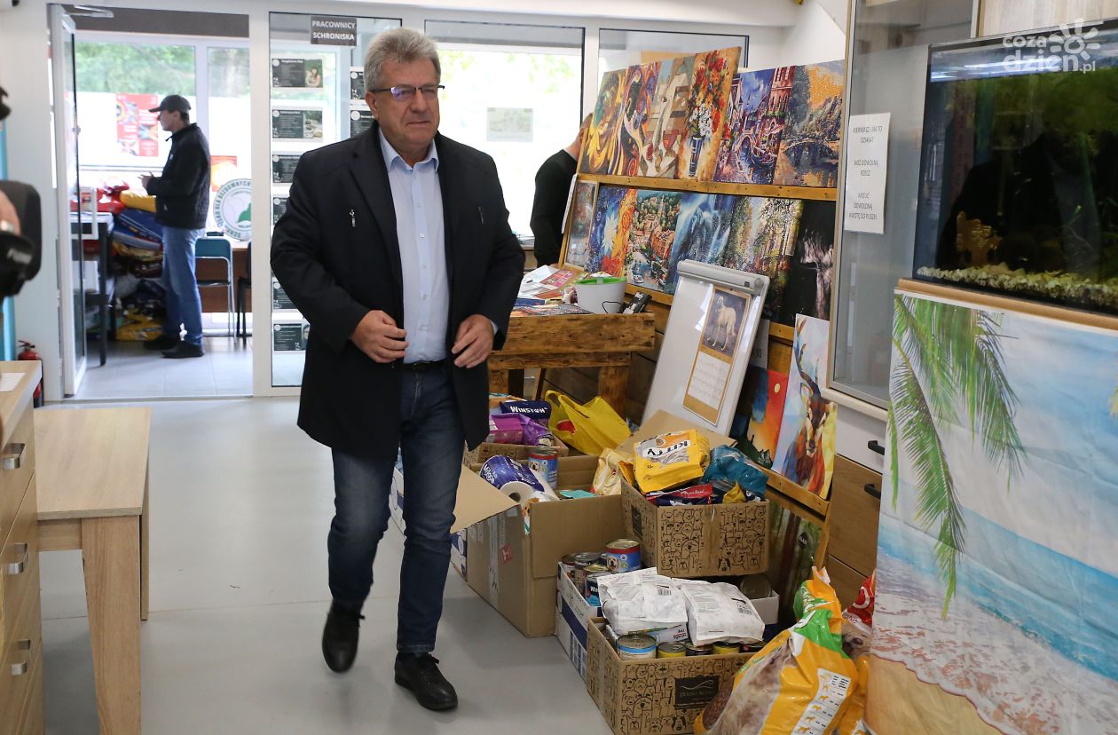 Dary trafiły do schroniska
