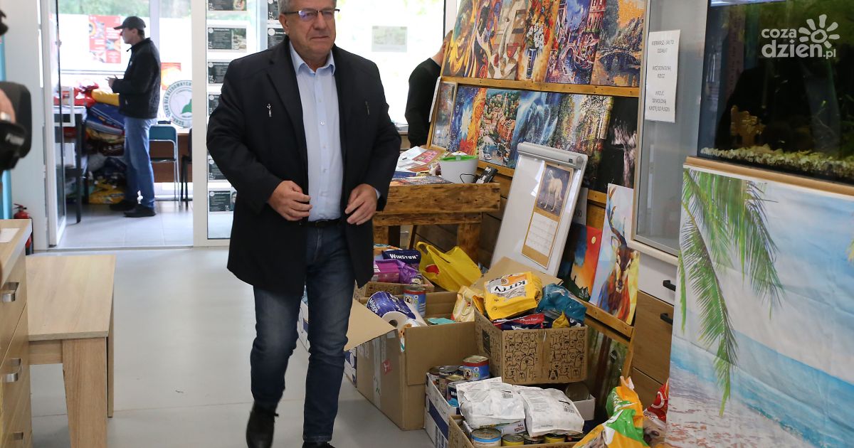 Dary trafiły do schroniska