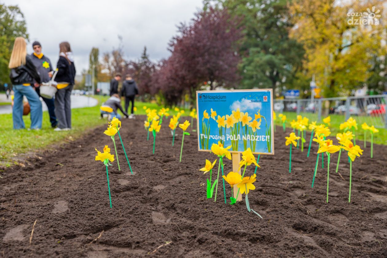 Zainaugurowano świętokrzyską akcję „Pola Nadziei” 2025/2026