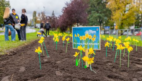 Zainaugurowano świętokrzyską akcję „Pola Nadziei” 2025/2026