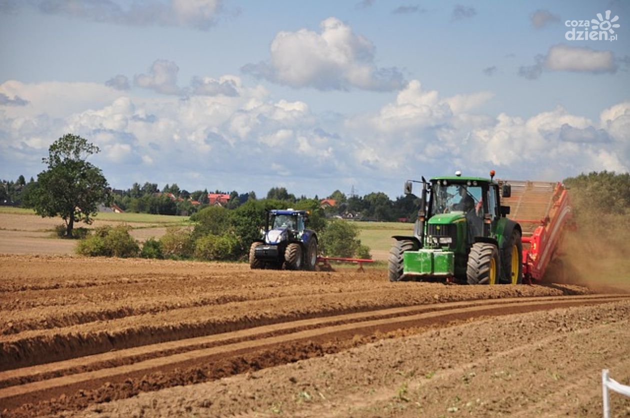 Polscy rolnicy między desperacją, a brakiem organizacji