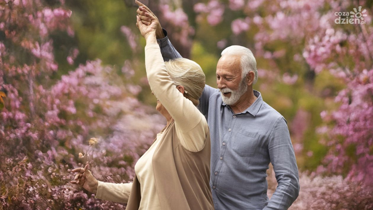 Koncert i potańcówka na święto ostrowieckich  seniorów  