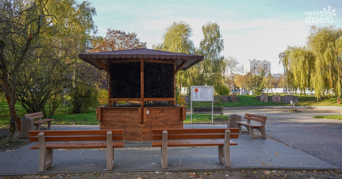 Nowa tężnia solankowa na osiedlu KSM – miejsce relaksu i zdrowia z Budżetu Obywatelskiego