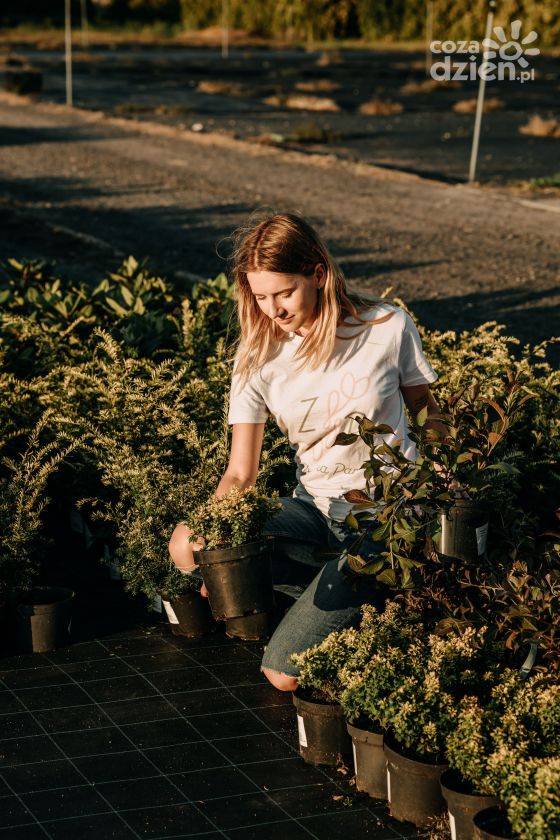 Projektowanie ogrodu Radomsko - Twój wymarzony ogród w zasięgu ręki