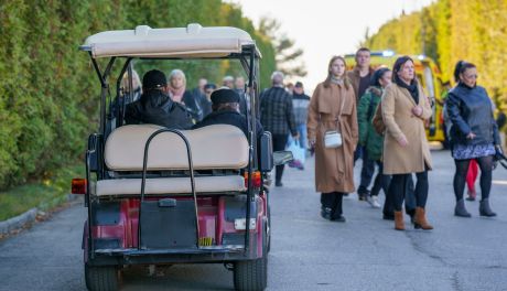 Po cmentarzu w Cedzynie kursują bezpłatne meleksy