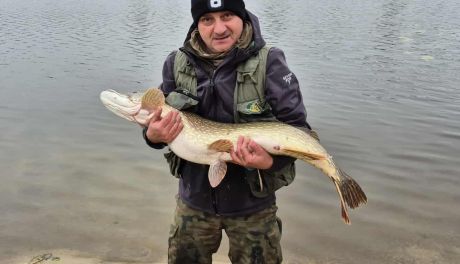 Rekordowy szczupak nad zalewem w Morawicy
