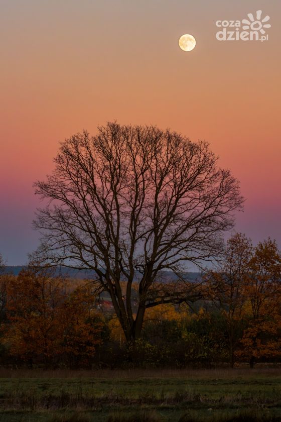 Wyjątkowa noc na niebie: Superpełnia Księżyca i maksimum Południowych Taurydów