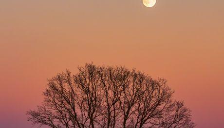 Wyjątkowa noc na niebie: Superpełnia Księżyca i maksimum Południowych Taurydów