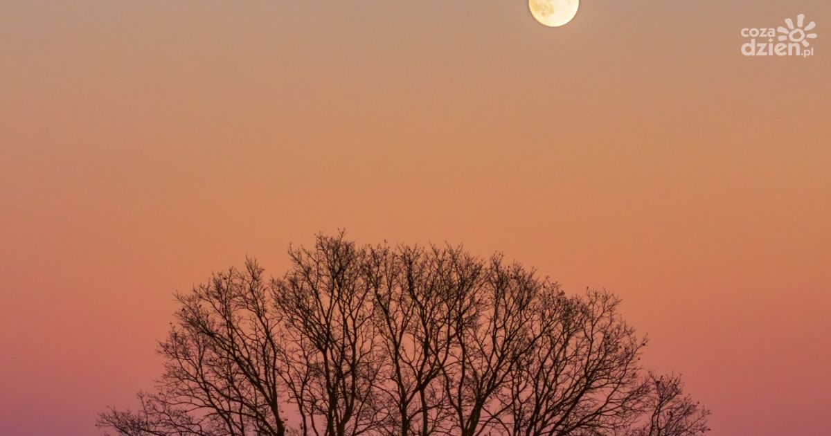 Wyjątkowa noc na niebie: Superpełnia Księżyca i maksimum Południowych Taurydów