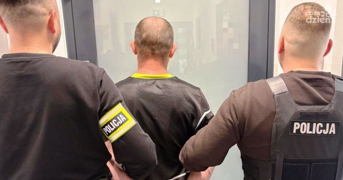 Brutalne znęcanie się nad psem. 41-latek zatrzymany przez policję z Chęcin
