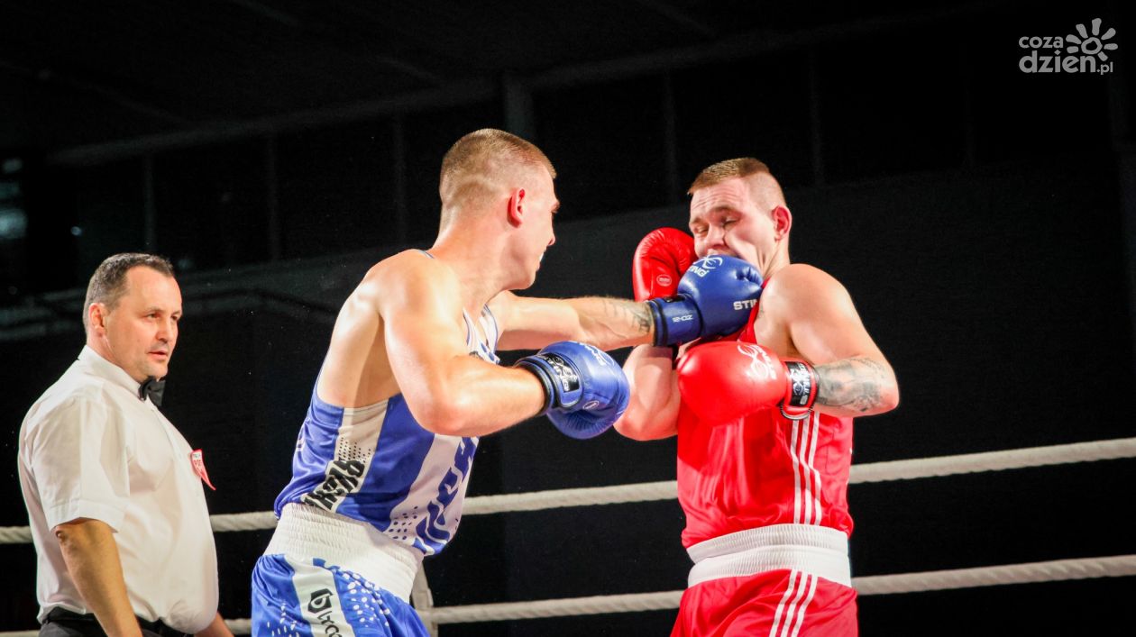 Czy 9 listopada poznamy mistrza Polskiej Ligi Boksu? Legia i Rushh wciąż walczą o tytuł