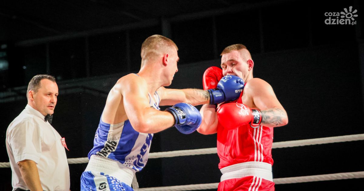 Czy 9 listopada poznamy mistrza Polskiej Ligi Boksu? Legia i Rushh wciąż walczą o tytuł