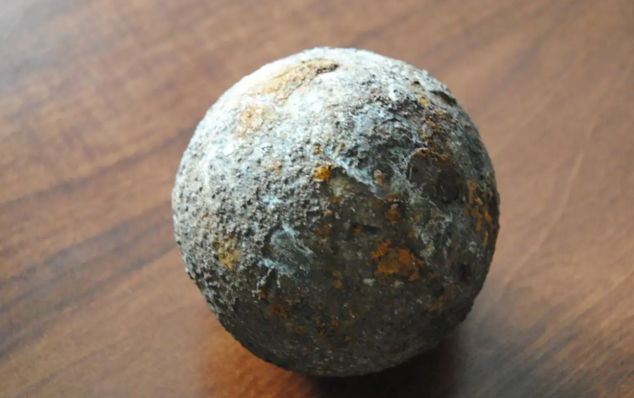 Kula armatnia sprzed wieków znaleziona w starym drzewie