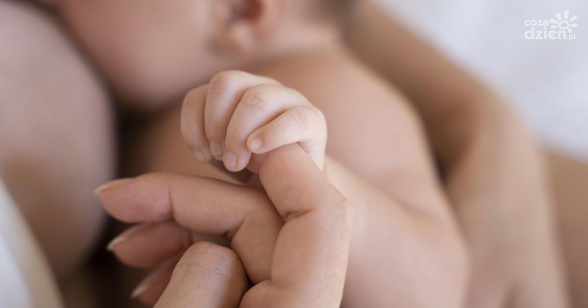 Dzień Otwarty Bloku Porodowego w Wojewódzkim Szpitalu Zespolonym w Kielcach