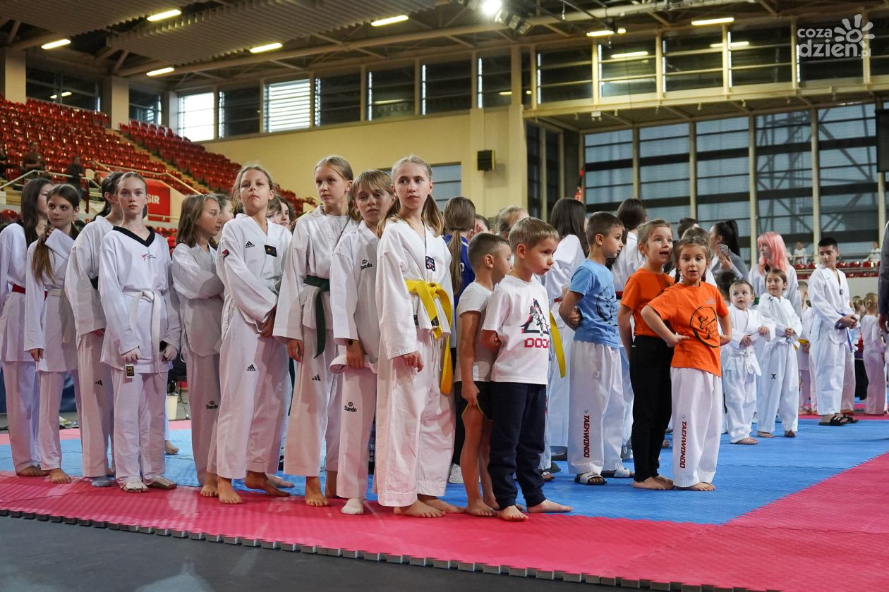 X Świętokrzyska Olimpiada Taekwondo – blisko 250 zawodników rywalizowało w Ostrowcu Świętokrzyskim