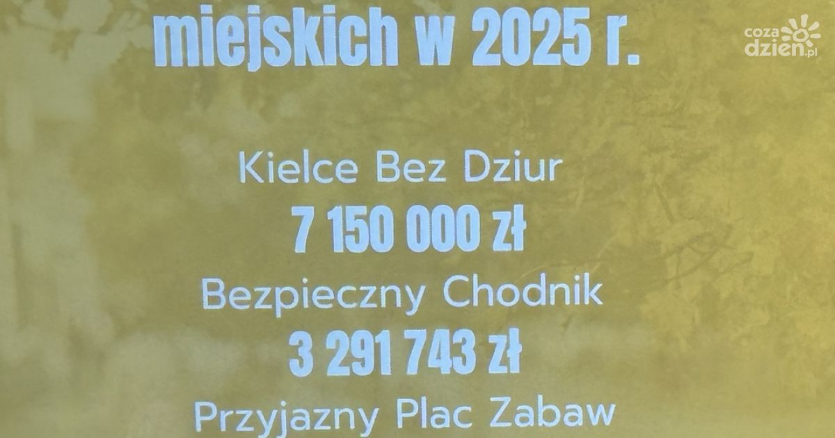 Podsumowanie programów miejskich w 2025 roku