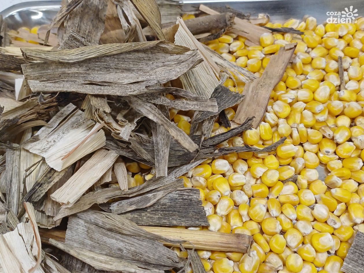 Kompostownia odpadów nie powstanie w Sudole. Inwestor nie odwołał się do SKO