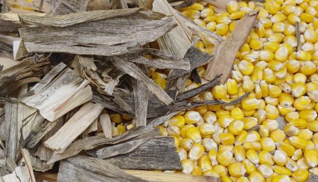 Gmina nie zgodziła się na przetwarzanie bioodpadów w Sudole