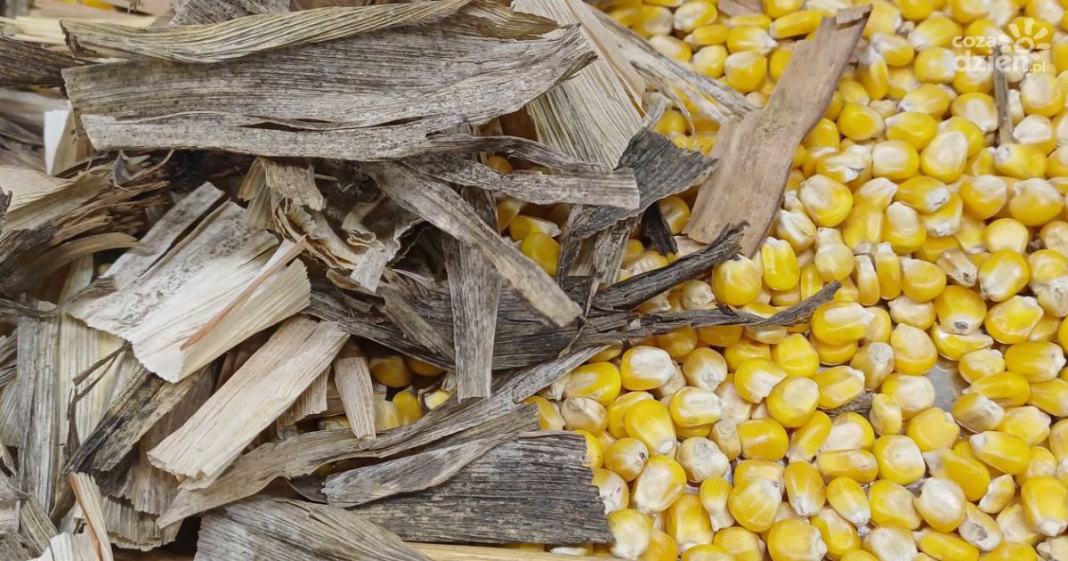 Gmina nie zgodziła się na przetwarzanie bioodpadów w Sudole