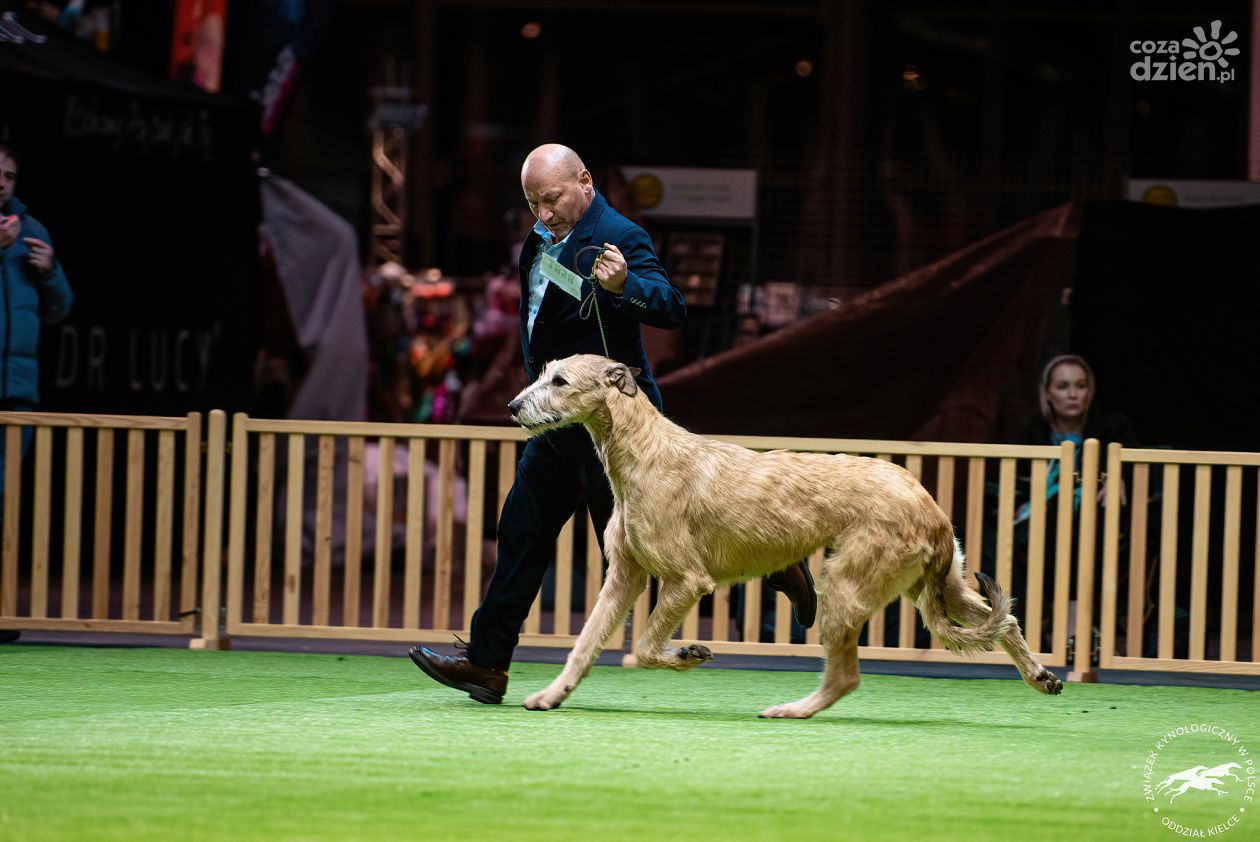 Dziś i jutro w Targach Kielce – wielkie święto miłośników psów!