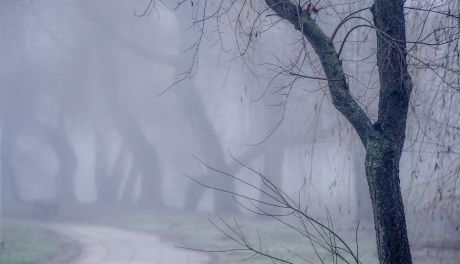 Gęsta mgła nad Kielcami. IMGW wydał ostrzeżenie