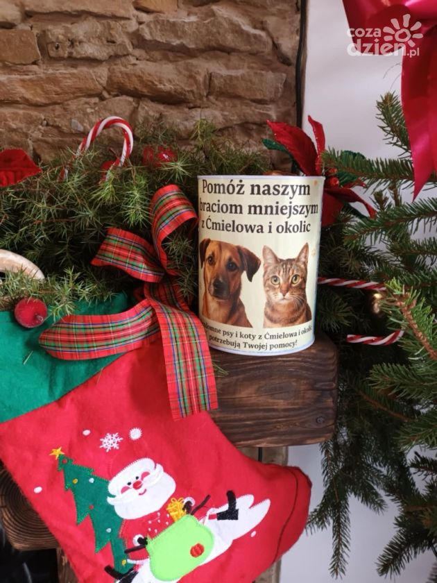 Nowa restauracja w Ćmielowie organizuje świąteczną zbiórkę dla bezdomnych zwierząt