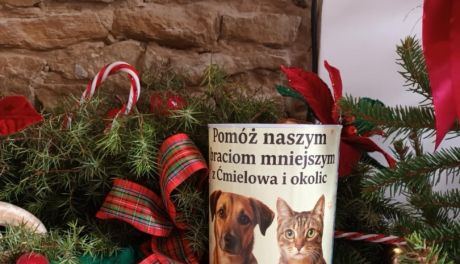 Nowa restauracja w Ćmielowie organizuje świąteczną zbiórkę dla bezdomnych zwierząt