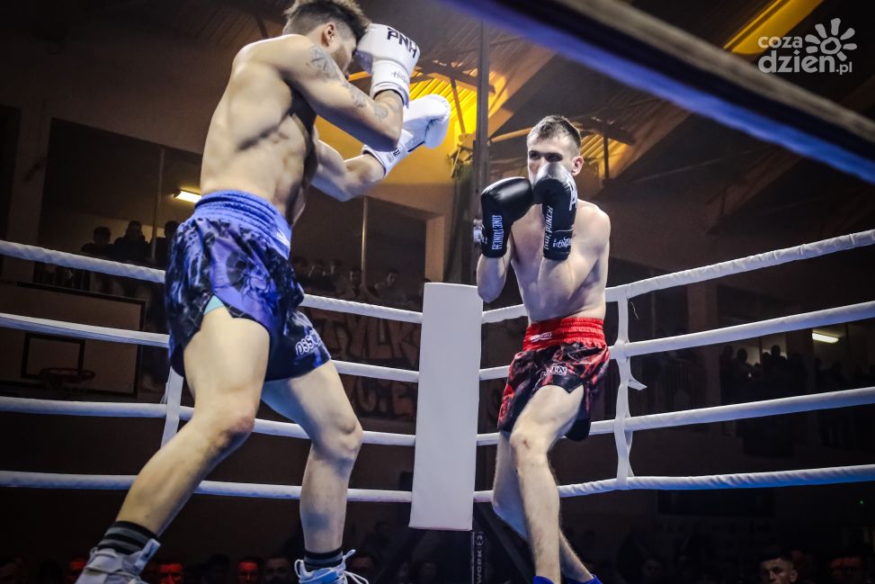 Grand Fight Night - Klimontowska Gala Boksu i Kickboxingu [ZDJĘCIA]