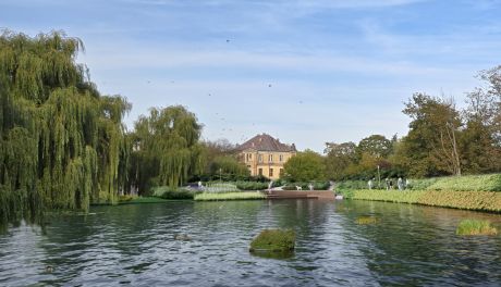 Staw w Parku Miejskim w Kielcach przejdzie modernizację. Miasto z dużym dofinansowaniem z programu FEnIKS