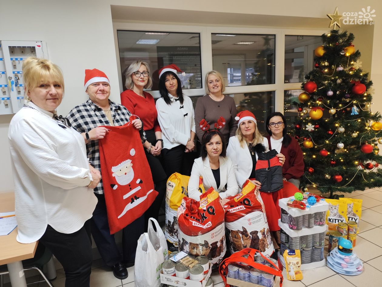 Pracownicy ostrowieckiego urzędu pracy wsparli bezdomne zwierzęta