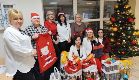 Pracownicy ostrowieckiego urzędu pracy wsparli bezdomne zwierzęta