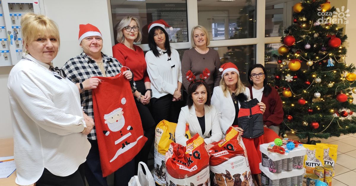 Pracownicy ostrowieckiego urzędu pracy wsparli bezdomne zwierzęta