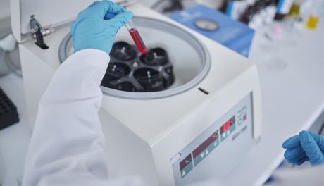 Jak działa cieplarka laboratoryjna?