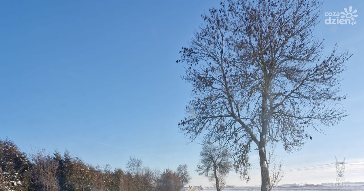 Silny mróz w świętokrzyskiem. Apel służb o pomoc osobom samotnym i bezdomnym