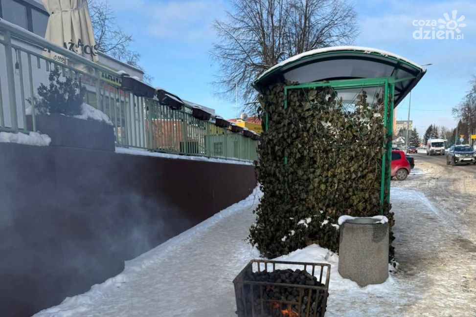 Koksowniki na przystankach w Starachowicach