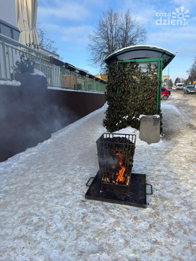 Koksowniki na przystankach w Starachowicach