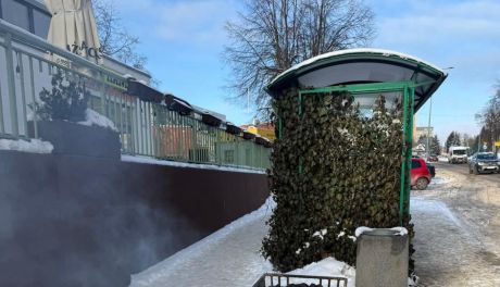 Koksowniki na przystankach w Starachowicach
