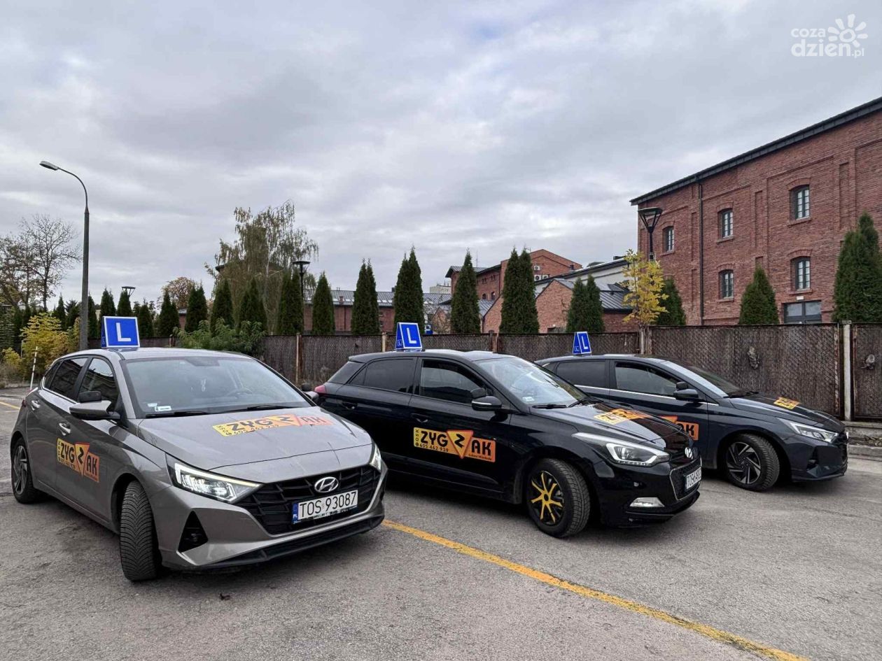 OSK Zygzak liderem zdawalności w 2025 roku