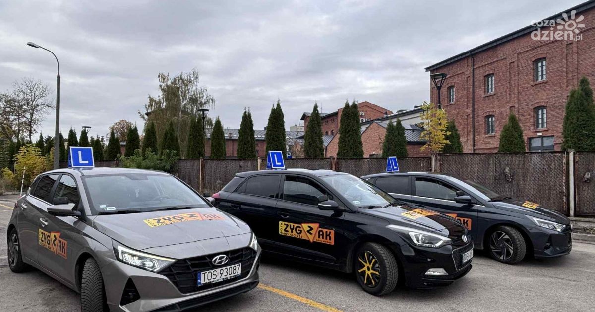 OSK Zygzak liderem zdawalności w 2025 roku