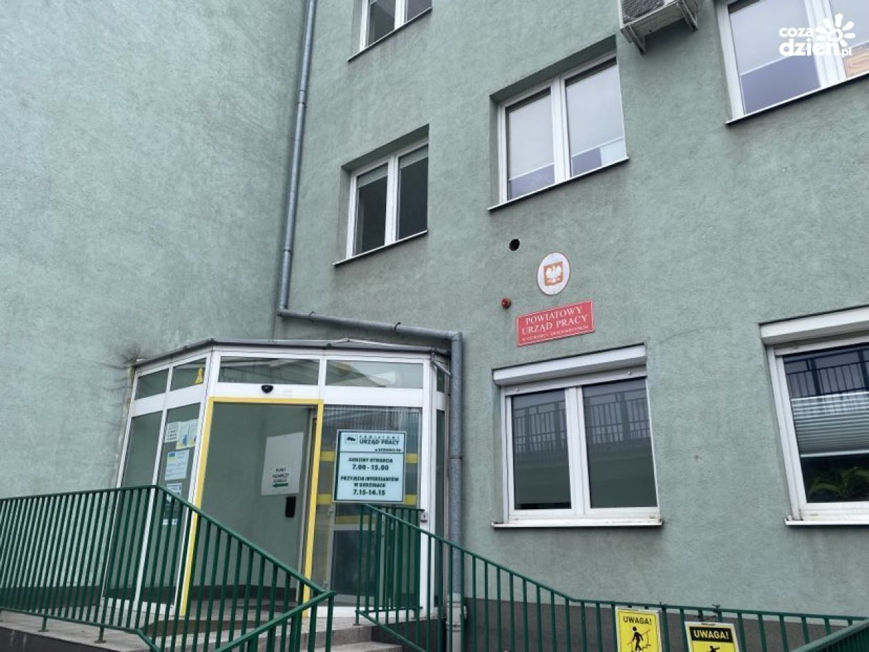 Nowy projekt aktywizacji zawodowej w powiecie ostrowieckim. Ruszają nabory w PUP