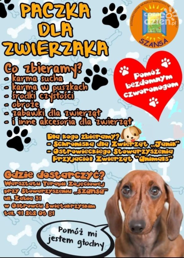 „Paczka dla Zwierzaka” - pomoc dla bezdomnych zwierząt w czasie mrozów
